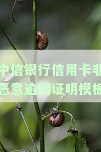 中信银行信用卡非恶意逾期证明模板撰写指南