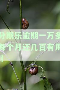 分期乐一万逾期一个半月纳金多少，如何计算分期乐逾期一个月半月的纳金？