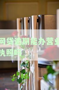 欠网贷是否能申请营业执照？相关问题全解答