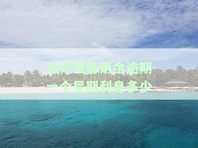 支付宝备用金逾期一周利息多少？