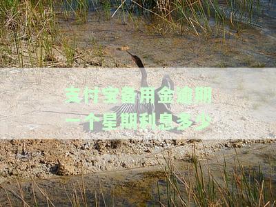支付宝备用金逾期一周还了还可以再用吗，支付宝备用金逾期一周还款后，还能再次使用吗？