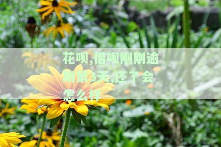 花呗,借呗刚刚逾期第3天,还了会怎么样，及时还款：花呗、借呗逾期3天后的处理方式