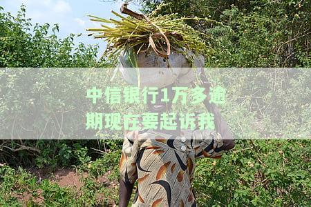中信银行逾期不到八千,说要立案起诉，中信银行：逾期未还8000元，或将被立案起诉