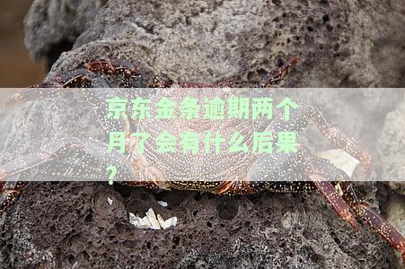 京东金条逾期两个月会否被上门催账及后果解析