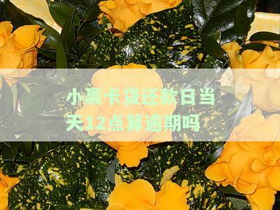 小赢卡贷还款日当天必须十点前还吗，小赢卡贷还款日需提前多久还款？详细解析