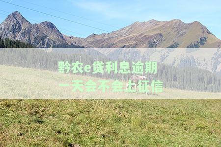 黔农e贷利息逾期一天会不会上征信-黔农e贷利息逾期一天怎么办