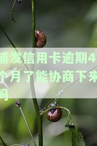 浦发信用卡逾期4个月了能协商下来吗