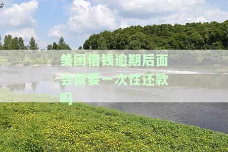 美团借钱如果逾期严重必须全部结清吗，美团借钱逾期严重，是否必须全部结清？