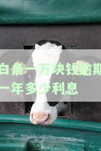 白条一万逾期一年利息？欠款四月未还会被起诉吗？逾期一个月利息是多少？