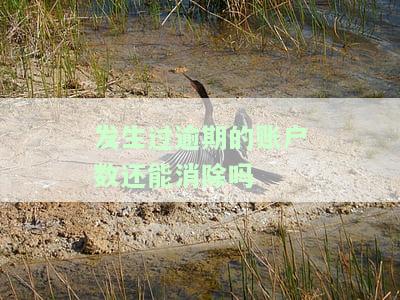 发生过逾期的账户数1次对贷款有影响吗？发生过逾期的账户数10次呢？房贷会受影响吗？