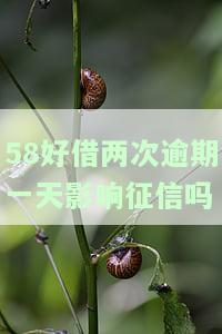 58好借两次逾期一天会影响征信吗？