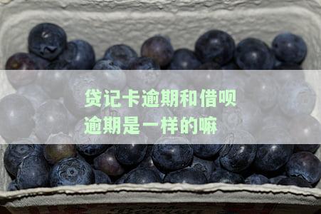贷记卡逾期和借呗逾期是一样的嘛