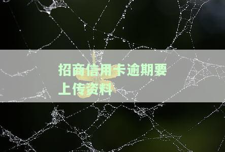 招商银行逾期6个月说要到我家去核实，招商银行：逾期6个月将派人上门核实