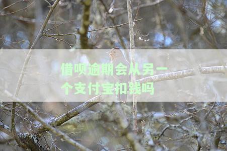 借呗逾期会从另一个支付宝扣款？安全性如何？