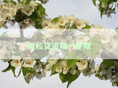 微粒贷逾期一星期会有什么后果？影响详解