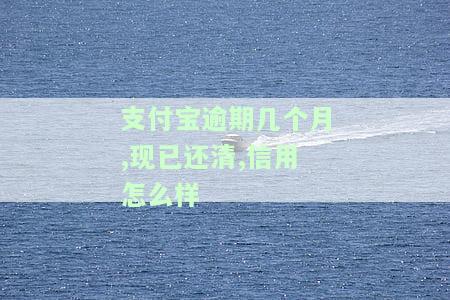 支付宝逾期几个月已还清，信用多久能恢复正常？