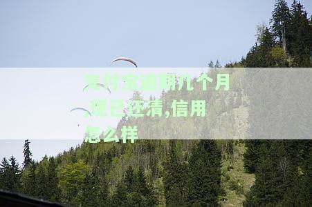支付宝逾期后还清，多久能恢复信用、记录及额度？