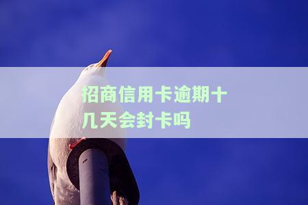 招商信用卡10元钱逾期十几天，信用卡还款逾期：10元钱的教训，你必须知道！
