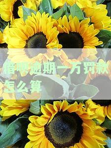 借呗逾期罚息计算方法：一万逾期如何算利息？