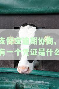 支付宝逾期协商中提供的凭证是什么？