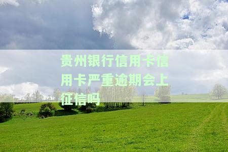 贵州银行信用卡严重逾期会否上征信？解决方案是什么？