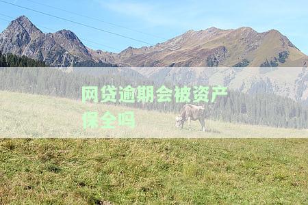 网贷逾期会被资产保全吗怎么办，网贷逾期可能面临资产保全，如何应对？