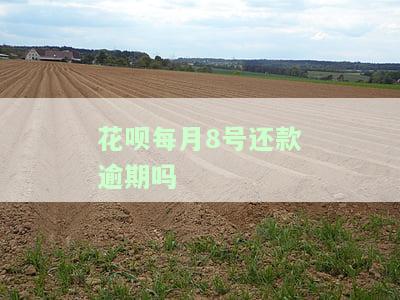 花呗每月八号必须还清吗，揭秘花呗还款规则：每月八号必须还清吗？