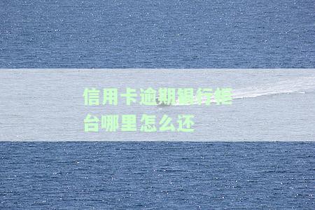 逾期的信用卡怎么还款进去，如何将逾期的信用卡还款？