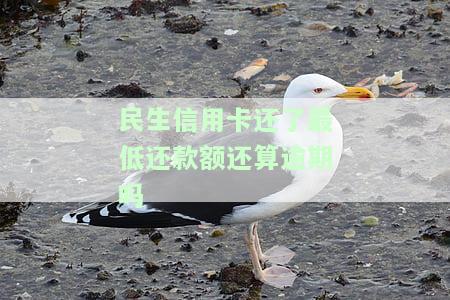 民生银行还最低还款额后剩下的怎么还款，民生银行：最低还款额后的剩余金额如何偿还？
