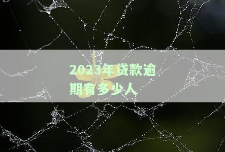2023年贷款逾期被起诉人数统计：与2020年相比如何？