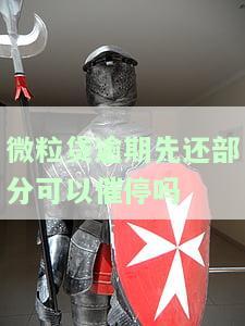 微粒贷逾期如何部分还款？常见问题解答