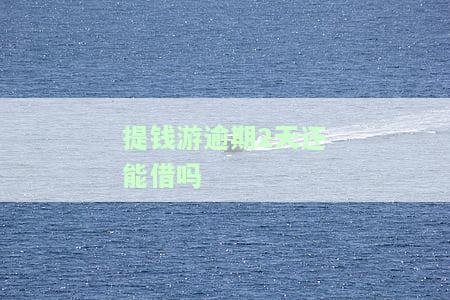提钱游逾期2天会否影响征信？