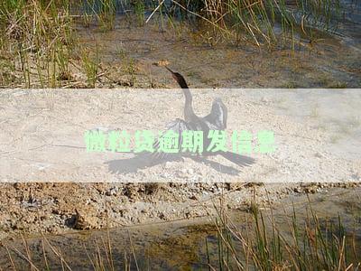 微粒贷逾期：收到取消分期信息，应如何处理？