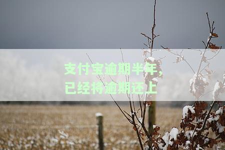 支付宝逾期半年还了大半会否被起诉？