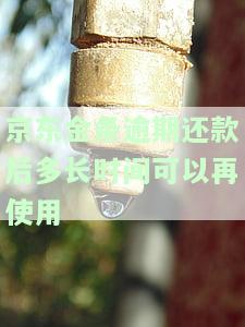 京东金条逾期还款后多长时间可以再使用啊，如何再次使用京东金条？了解逾期还款后的使用时间