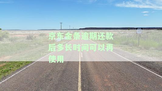 京东金条逾期后还清多久能恢复使用资格？