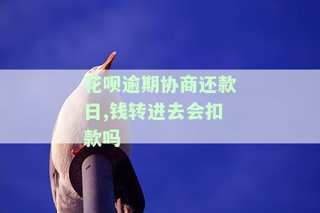 花呗协商期还款，如何进行花呗协商期还款？一份全面的指南