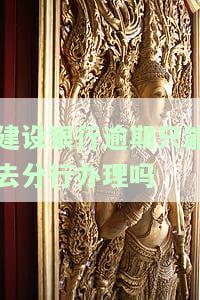 建设银行逾期可协商分期还款，具体操作方式是什么？