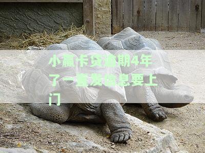 小赢卡贷逾期4年了一直发信息要上门-小赢卡贷逾期了几天他们打电话给朋友