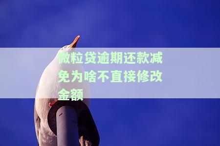 微粒贷逾期还款减免为啥不直接修改金额