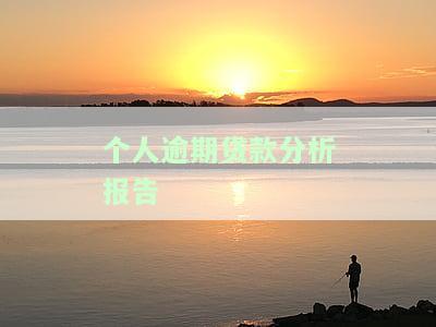 个人逾期贷款分析报告-个人逾期贷款分析报告怎么写