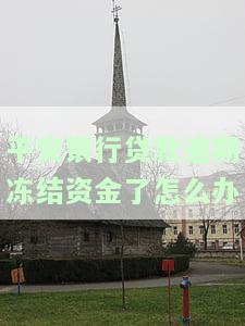 平安银行贷款逾期冻结资金了，如何解冻？