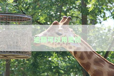 在美团逾期几个月了，还能申请美团送外卖吗？安全吗？