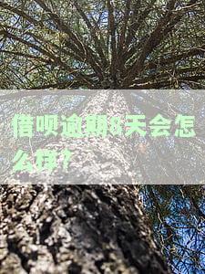 借呗逾期8天会怎么样?