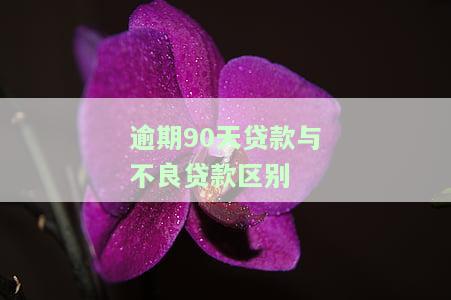 逾期90天贷款与不良贷款比例是什么？详解区别与计算方法