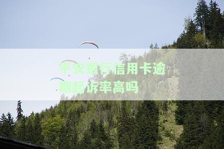 平安银行信用卡逾期起诉率高吗，探究平安银行信用卡逾期起诉率的真实性