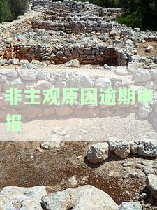 非主观原因逾期申报怎么填，如何填写'非主观原因逾期申报'？