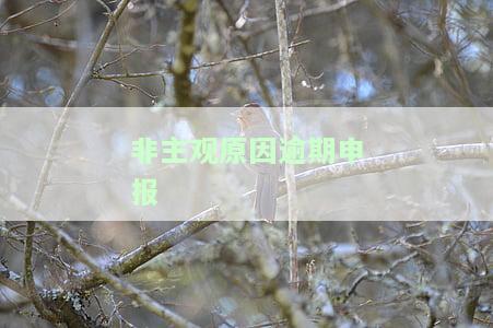 非主观原因逾期申报-非主观原因逾期申报怎么写