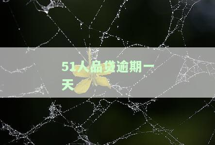 51人品贷逾期一天会爆通讯录吗？催收人已上门要钱，该如何应对？