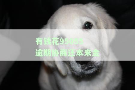 有钱花逾期可以协商还本金吗,协商成功的，成功案例分享：有钱花逾期后，如何协商只还本金？